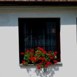 Real Estate Poland